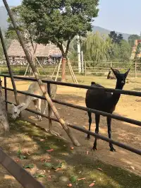 湖州龍之夢遛娃記|把假期過成沉浸式童話