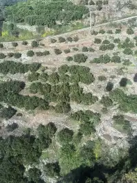 當年睡甲板如今高鐵直達，我的三峽永遠在！