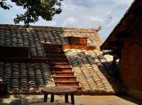 禾麒秘境 花漾田園