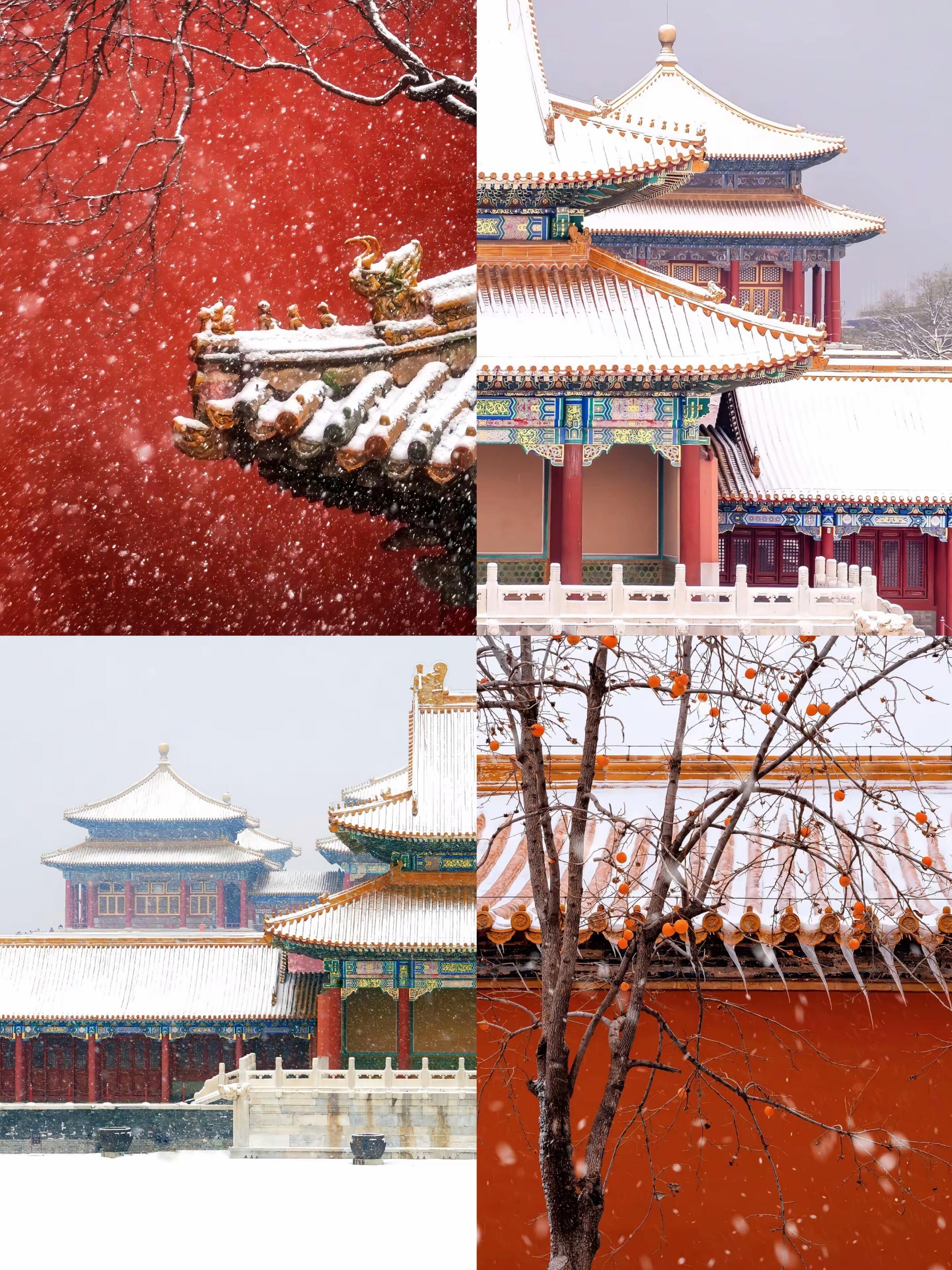 午門のおすすめ観光スポット2025年（12月更新）| Trip Moments