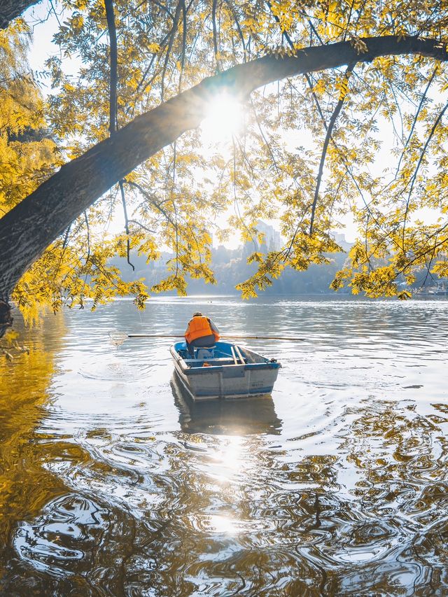 合肥週末全攻略｜廬州煙火+文藝秘境，2天1夜解鎖江淮韻味
