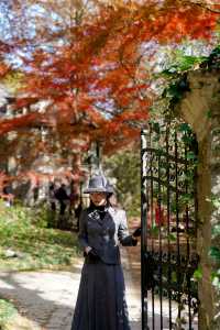 一眼封神,莫干山500年楓樹驚艷整個秋天