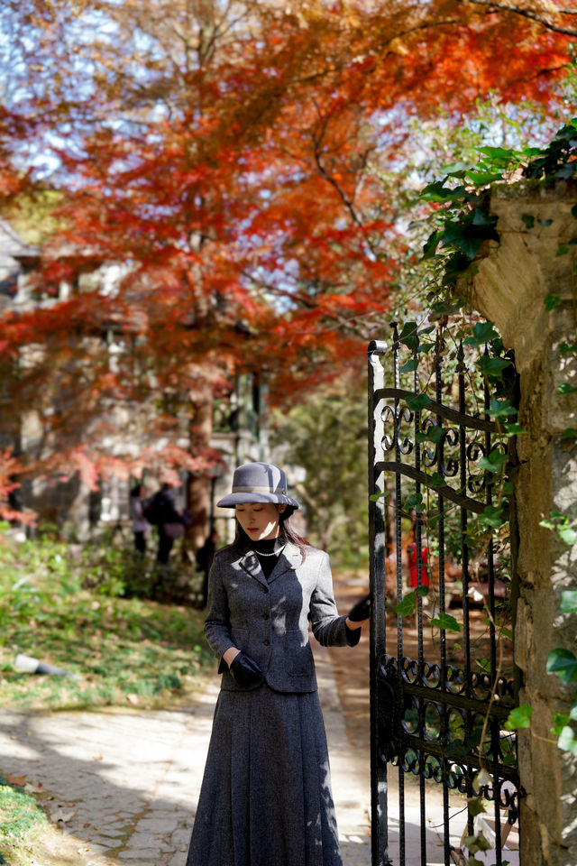 一眼封神,莫干山500年楓樹驚艷整個秋天 一眼封神,莫干山500年楓樹驚艷整個秋天