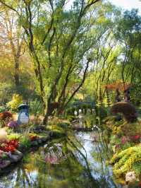 超全攻略!冬日共青森林公園賞秋絕了