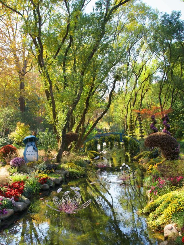 超全攻略!冬日共青森林公園賞秋絕了 超全攻略!冬日共青森林公園賞秋絕了