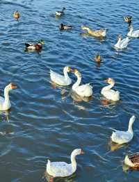 迎澤公園遊覽路線:一日盡覽龍城明珠