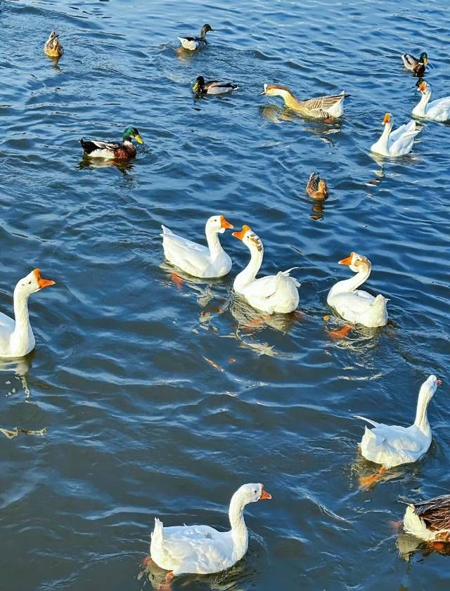 迎澤公園遊覽路線:一日盡覽龍城明珠 迎澤公園遊覽路線:一日盡覽龍城明珠
