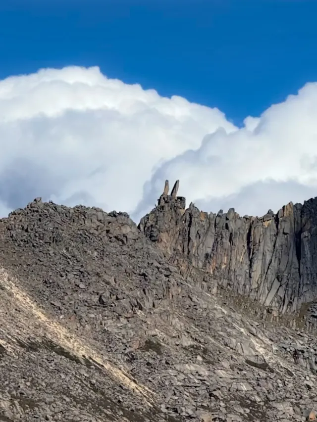 答案在路上|去川西,尋找風與自由 答案在路上|去川西,尋找風與自由