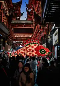 非遺魚燈銜著月光，游進了豫園的夢裡
