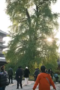 富士XT30直出! 胶片感冬日