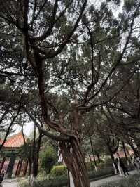 南岳 / 南岳大廟