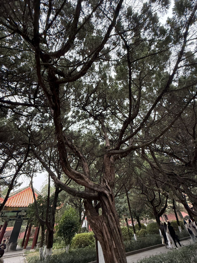 南岳 / 南岳大廟 南岳 / 南岳大廟