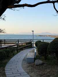 青島冬日Seawalk新路線太平角公園拍照攻略Get!