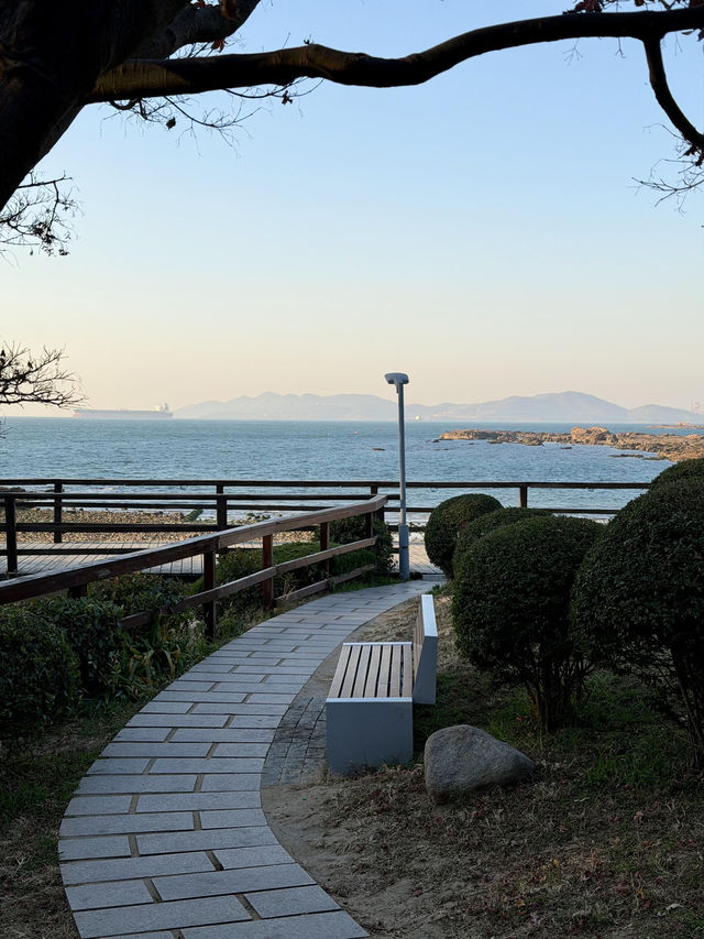 青島冬日Seawalk新路線太平角公園拍照攻略Get! 青島冬日Seawalk新路線太平角公園拍照攻略Get!