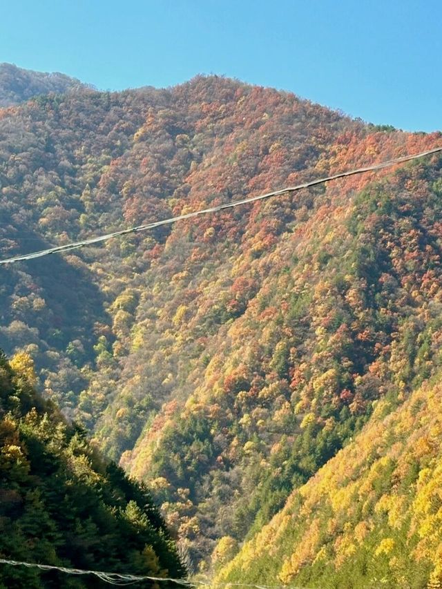 秦嶺帶娃帶父母封神線5天4晚小眾慢遊，躺玩不費媽超治癒