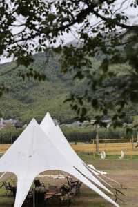 Nature|關於莫干山的超治癒吸氧之旅