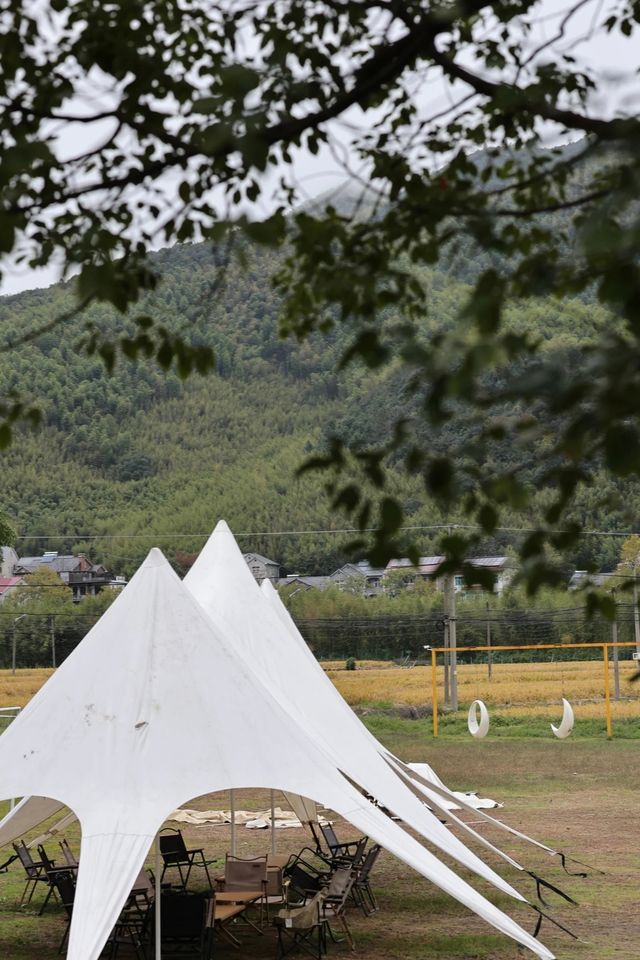 Nature|關於莫干山的超治癒吸氧之旅 Nature|關於莫干山的超治癒吸氧之旅