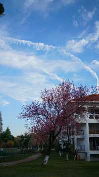 陪老帶娃住昆明-海埂溫泉花園酒店