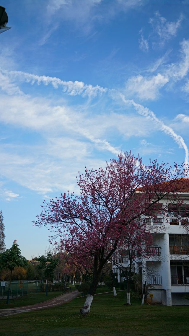 陪老帶娃住昆明-海埂溫泉花園酒店 陪老帶娃住昆明-海埂溫泉花園酒店