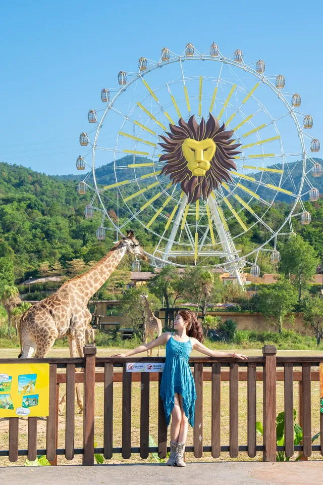 清遠長隆森林王國跟拍竟然用不了300