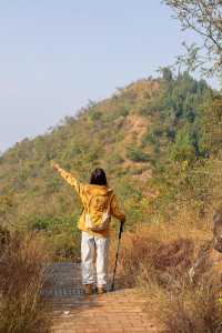 成都0.5h公交直達的秋日橘林徒步路線~#秋季去爬山南門