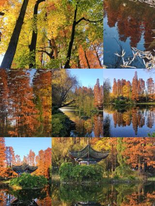 Kunming locals' secret autumn scenery spot! Stay at this hotel and fully enjoy Xihua Park + downtown