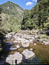 自駕分享: 武夷山國家公園一號風景道