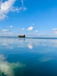 昆明週末|被海鷗和天空之境包圍超治癒