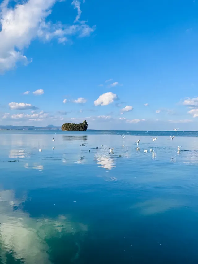 昆明週末|被海鷗和天空之境包圍超治癒