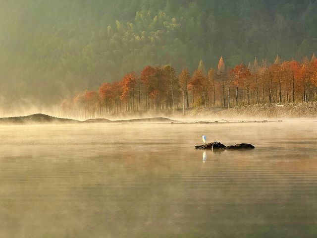 皖南川藏線核心住宿攻略:為什麼資深玩家都選擇在板橋村停留 皖南川藏線核心住宿攻略:為什麼資深玩家都選擇在板橋村停留