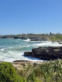 南非｜赫曼努斯-世界最佳陸地觀鯨地