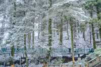 雪落廬山大廈：帶娃住進民國暖冬