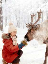 7天玩轉呼倫貝爾-興安盟不踩雷攻略