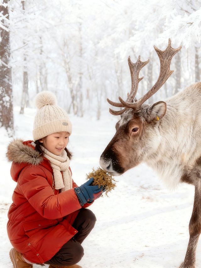 7天玩轉呼倫貝爾-興安盟不踩雷攻略 7天玩轉呼倫貝爾-興安盟不踩雷攻略