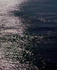 誰不喜歡冬天的大連呢!!