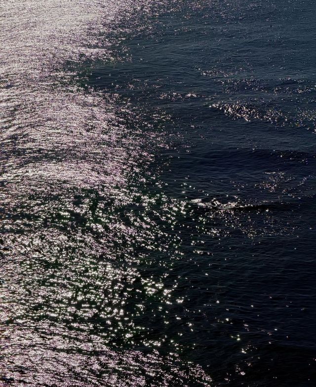 誰不喜歡冬天的大連呢!! 誰不喜歡冬天的大連呢!!