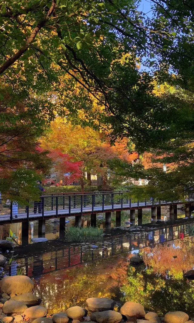 上海市中心兩小時賞秋路線