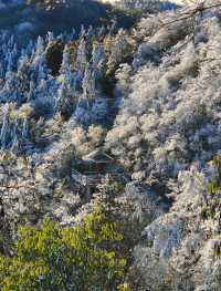 這片綠色值得奔赴