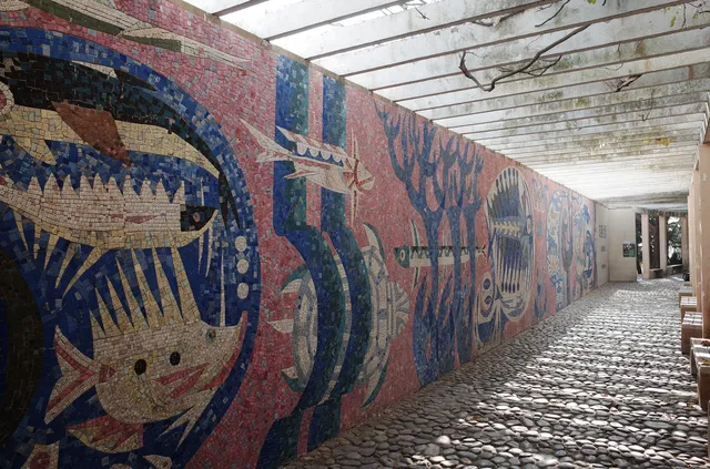 青島|藏在山頂的海底世界 青島|藏在山頂的海底世界