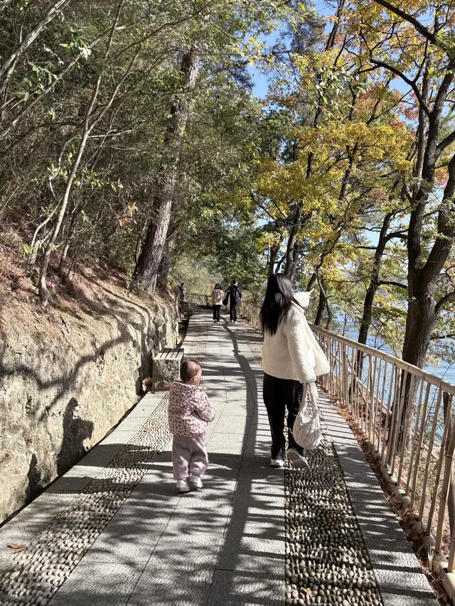 千島湖中心湖區攻略｜帶娃免門票遊湖！