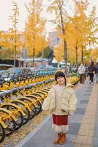 12.5實拍局門路的銀杏黃了!!