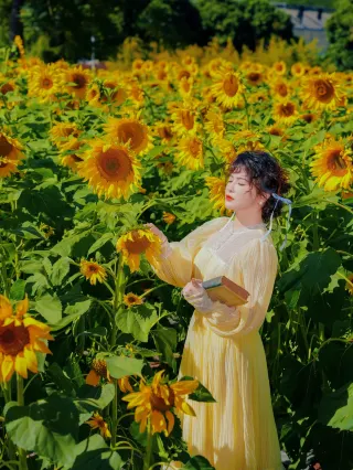 Avoid the crowds! I found a hidden perfect spot for sunflower photos