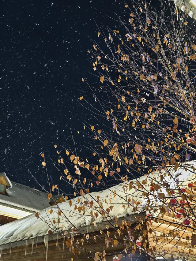 禾木今晚大雪 禾木雪景的絕殺拍攝地點