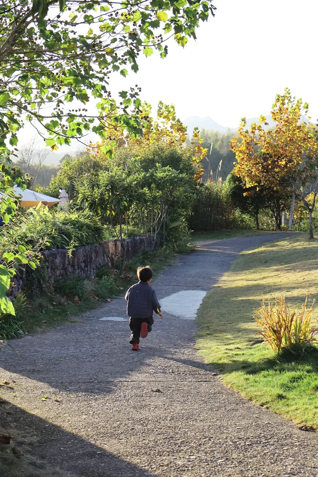 環境滿分的千島湖民宿 環境滿分的千島湖民宿