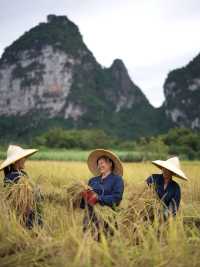 救命!我好像住進了「朋友圈攝影大賽」的評審後台!