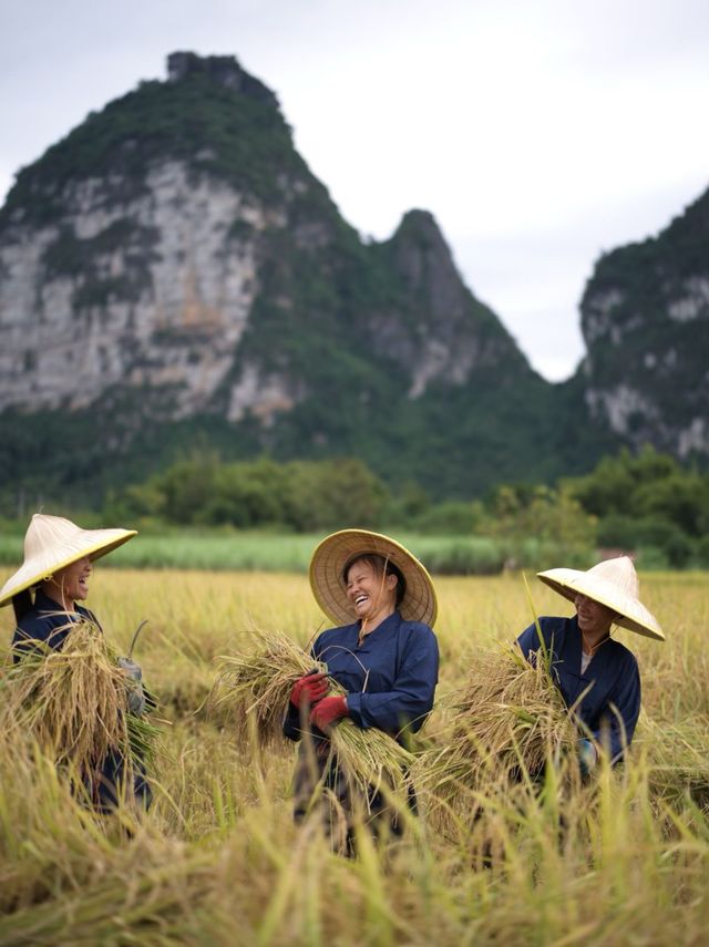 救命!我好像住進了「朋友圈攝影大賽」的評審後台! 救命!我好像住進了「朋友圈攝影大賽」的評審後台!