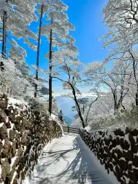 12月及1月來郴州莽山的！存下吧超全的！