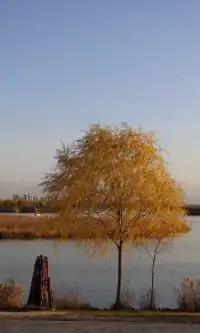 我心目中西安排名第二的免費公園