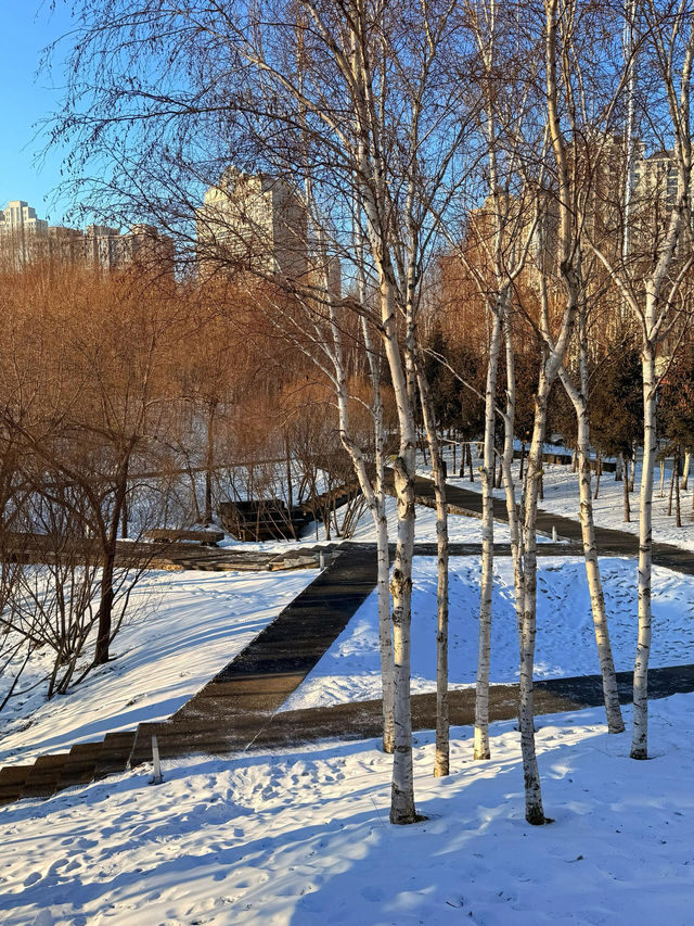 哈爾濱冬日小眾秘境·多圖暴擊預警 哈爾濱冬日小眾秘境·多圖暴擊預警