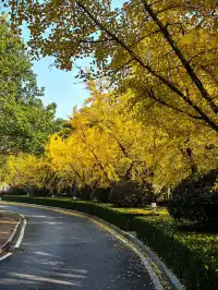 廣州—宜春用一個週末躲進秋日天堂